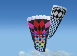 Rieleit Foil 20 Kite - Opt Art -Best Kite Shop 12075 76p Rieleit location1 scaled