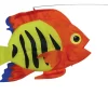 Swimming Fish - Flame Fish