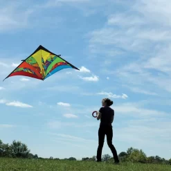 9 Ft. Delta Kite - Rainbow Orbit -Best Kite Shop 33201 2