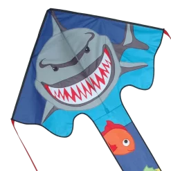 Large Easy Flyer Kite - Crusher