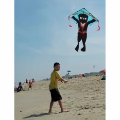 Large Easy Flyer Kite - Flying Ninja -Best Kite Shop 44196 2
